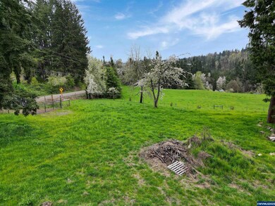 953 Crooked Finger Rd NE, Scotts Mills, OR 97375 - photo 6