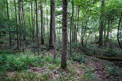 Lot 130 Laurel Loop, Bruceton Mills, WV 26525 - photo 3