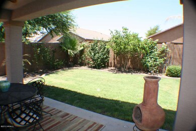 Backyard Grass and Landscaping