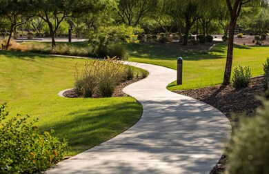 Paths