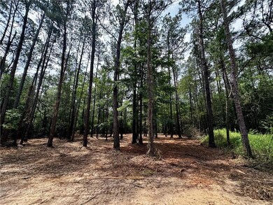 Lot 2 Ranchero Rd, Covington, LA 70435 - photo 3