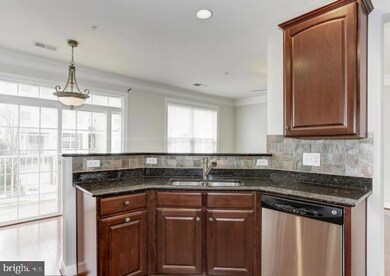 2525 Pascal Place unit 195, Herndon, VA 20171 - photo 6