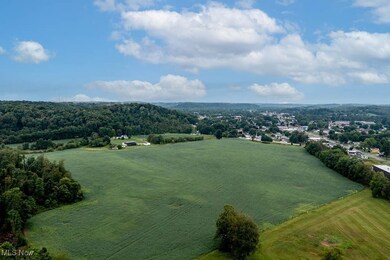 22141 Mcdaniel St, Minerva, OH 44657 - photo 5