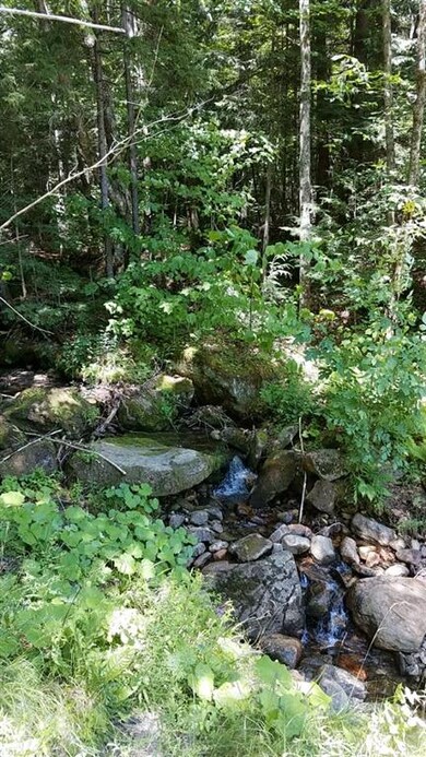 0 White Rd unit 4853123, Readsboro, VT 05350 - photo 6