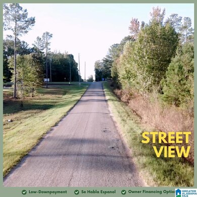 Tract 2B County Road 329, Wedowee, AL 36278 - photo 5