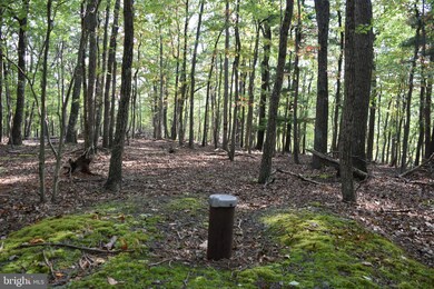 0 Pioneer Trail unit WVMO2003510, Great Cacapon, WV 25422 - photo 7