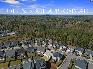 509 Malachite Ln, Chapin, SC 29036 - photo 5