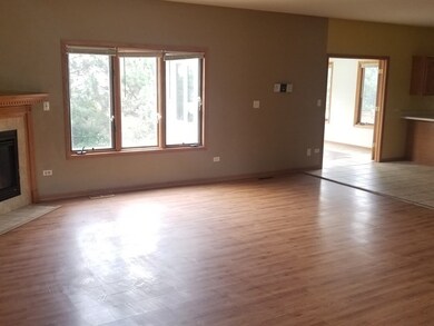 4830 W Sligo Way, Country Club Hills, IL 60478 - photo 4