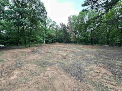 59 Bryant Rd, Greers Ferry, AR 72067 - photo 3