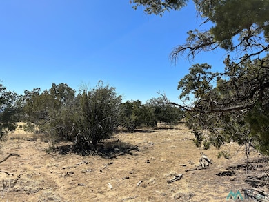 89 Ponderosa View Loop, Pie Town, NM 87827 - photo 5