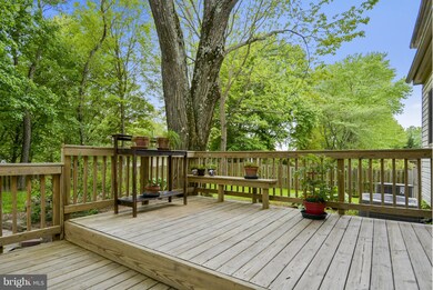 604 Seminole Creek Way, Silver Spring, MD 20904 - photo 6