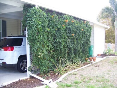 Beautiful privacy 