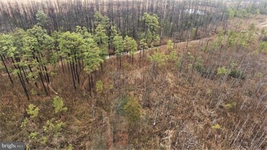 2506 Willeys Neck Rd, Crapo, MD 21626 - photo 7