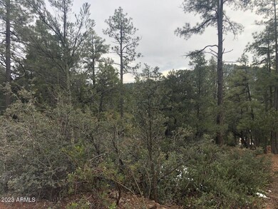 95 Wagon Wheel Way unit B5 ROS 3142 aka 3099, Strawberry, AZ 85544 - photo 2