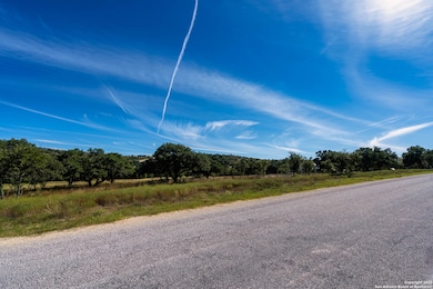 LOT 061 Majestic Hills, Blanco, TX 78606 - photo 3