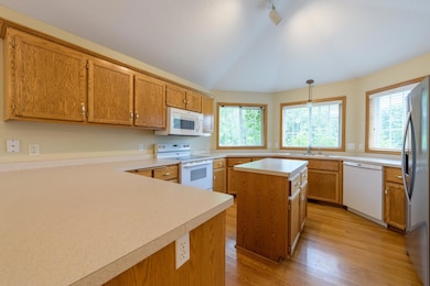 7309 Deer Pass Dr, Hugo, MN 55038 - photo 2