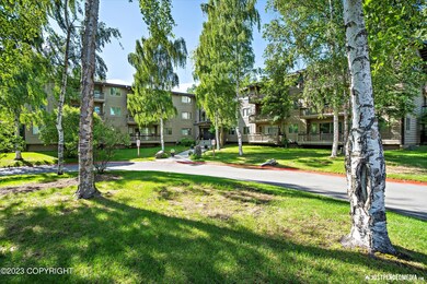 02-DSC02432