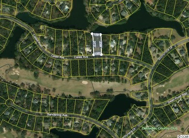 126 Calais Ave, Georgetown, SC 29440 - photo 2