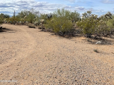 7305 N van Ark Rd unit 1, Tucson, AZ 85743 - photo 7
