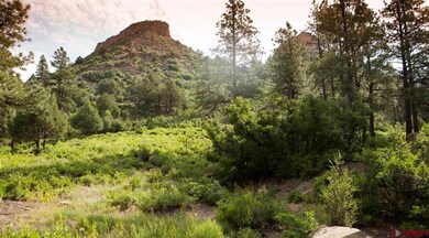 0 Bell Flower Ct unit 751866, Durango, CO 81301 - photo 5