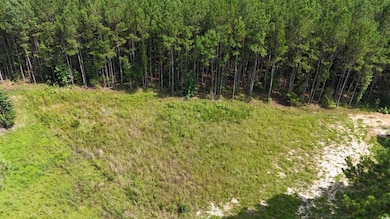 View of tree filled area