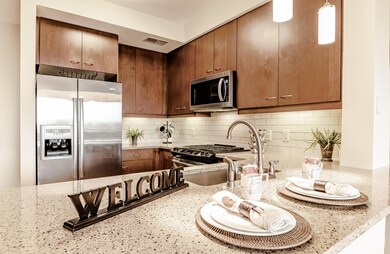 Cook's Kitchen