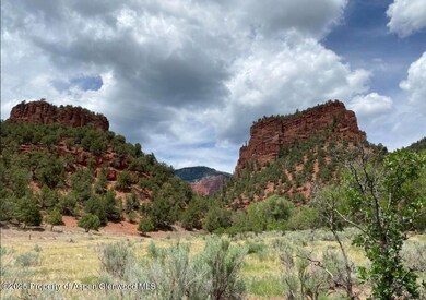 1200 Frying Pan Rd, Basalt, CO 81621 - photo 5