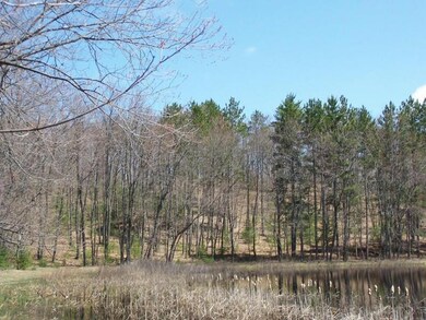 Woods