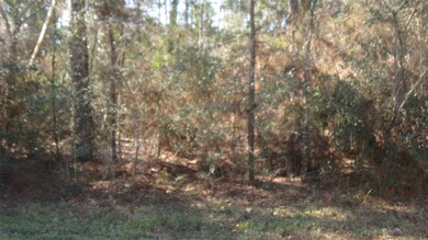 Lot 25 Lazy Hollow, Hockley, TX 77447 - photo 4