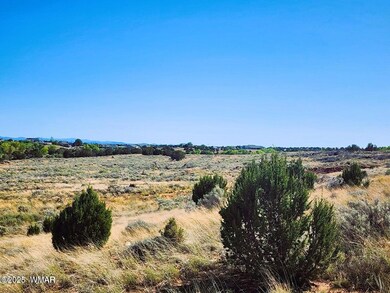 Tumbleweed 4