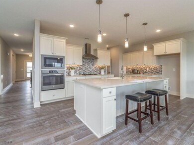 9808 Dunmore Cir, Grimes, IA 50111 - photo 6