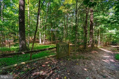 2403 Bugle Ln, Reston, VA 20191 - photo 5