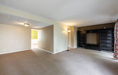 1009 Cascade Dr unit 1, Aurora, IL 60506 - photo 5