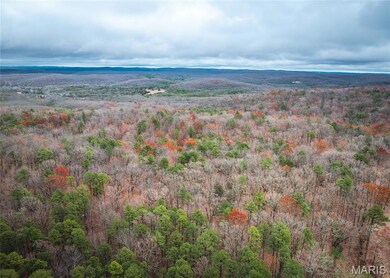 1950 Lake Forest Dr, Park Hills, MO 63601 - photo 7