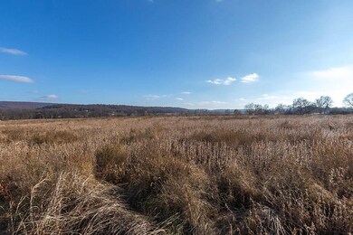 41.77 AC (mol) Parks St, Prairie Grove, AR 72753 - photo 2