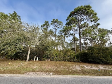 119 Crane Dr, Port St. Joe, FL 32456 - photo 2