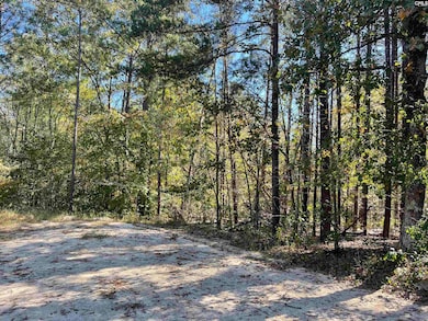 1809 Louise Ct, Lugoff, SC 29078 - photo 5