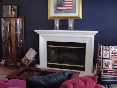 FIREPLACE IN LIVING ROOM