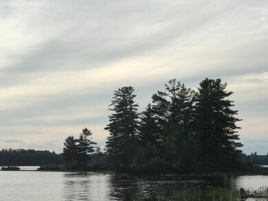 IMG_2947 (1)
