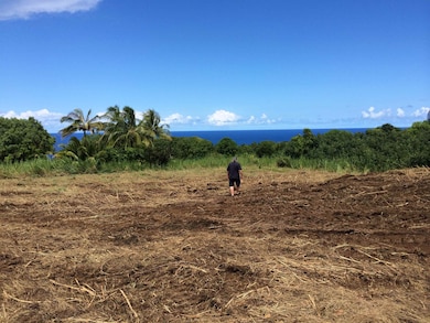 Lower Nahiku Rd, Hana, HI 96713 - photo 2