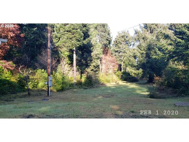 90911 Joe Ney Ln, Coos Bay, OR 97420 - photo 3