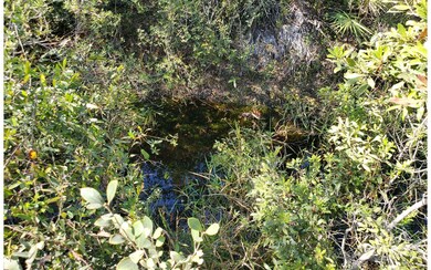 0 Brown Rd unit 123984, Lee, FL 32059 - photo 4