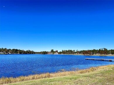 lot 16 Hackberry Dr, Wildwood, TX 77625 - photo 6