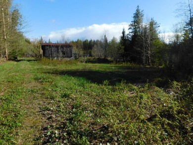 DSCN0084