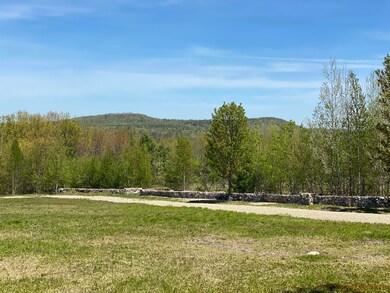 IMG-2416