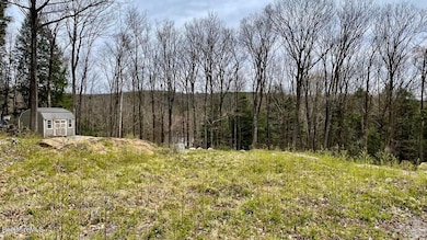 0 Jamie Ln, Sandisfield, MA 01245 - photo 6