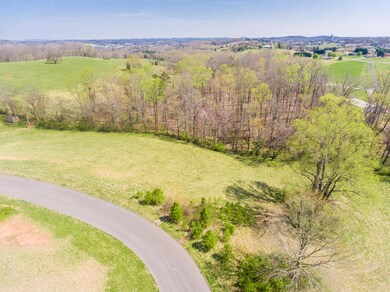 2106KingViewLoop-6