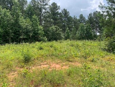 1054 Mount Sinai Rd, Lula, GA 30554 - photo 6