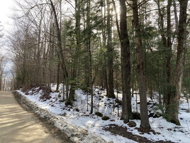 0 Jerusalem Rd unit 4990793, Canaan, NH 03741 - photo 7