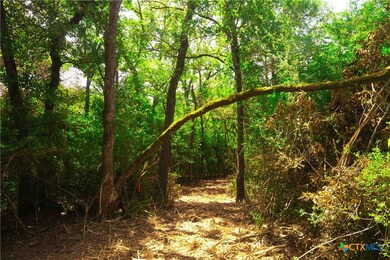 5115 N State Highway 6, Hearne, TX 77859 - photo 3